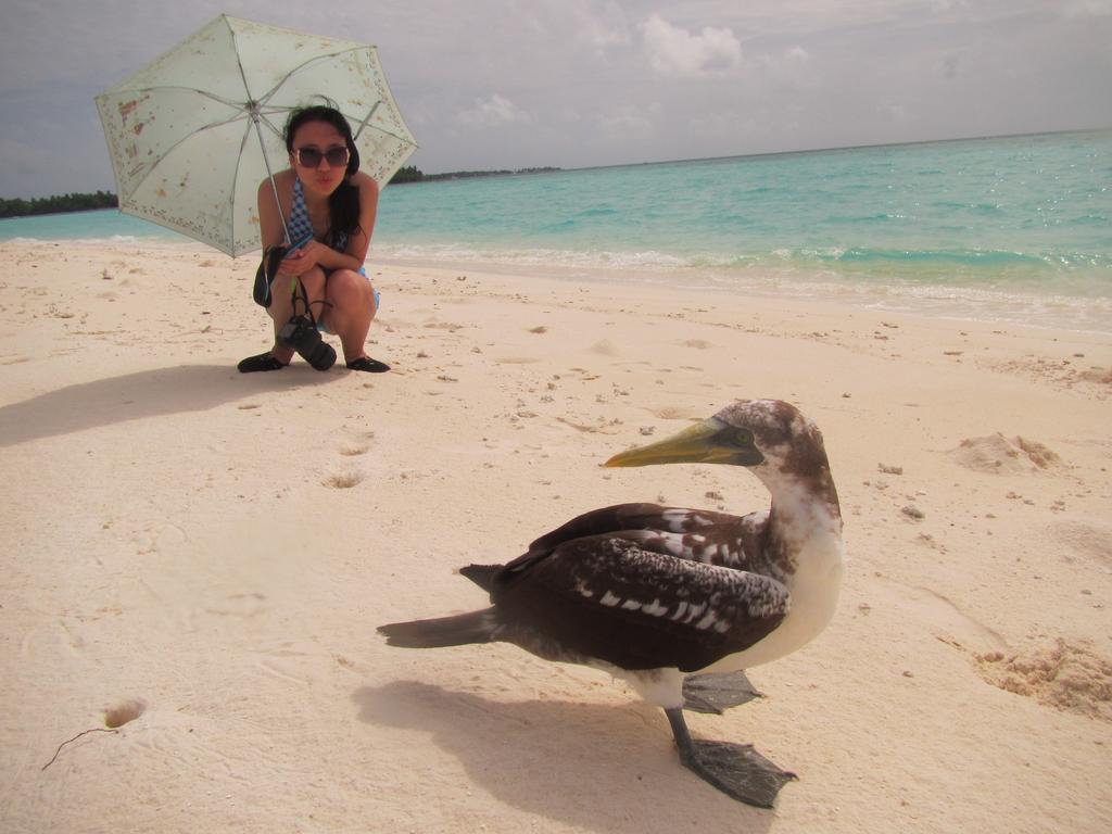 Rasdhoo Coralville Exterior foto